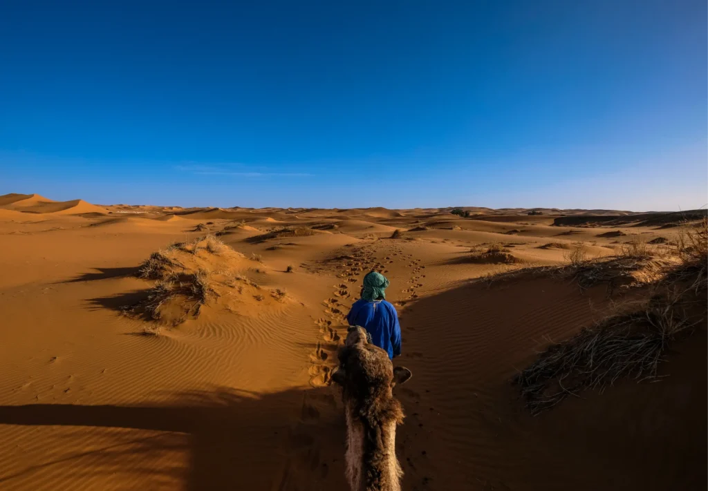 Marrakech Activités