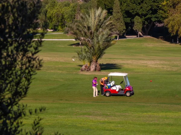 Visite d'un parc de sculptures 5 Golf