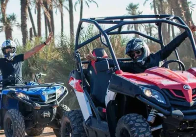 Buggy à la Palmeraie