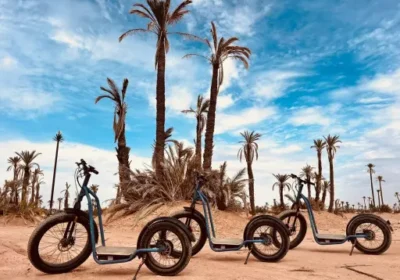 Balade en trottinette à la Palmeraie
