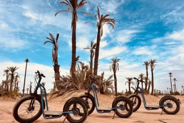 Balade en trottinette à la Palmeraie