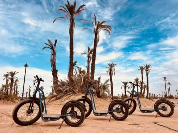Balade en trottinette à la Palmeraie