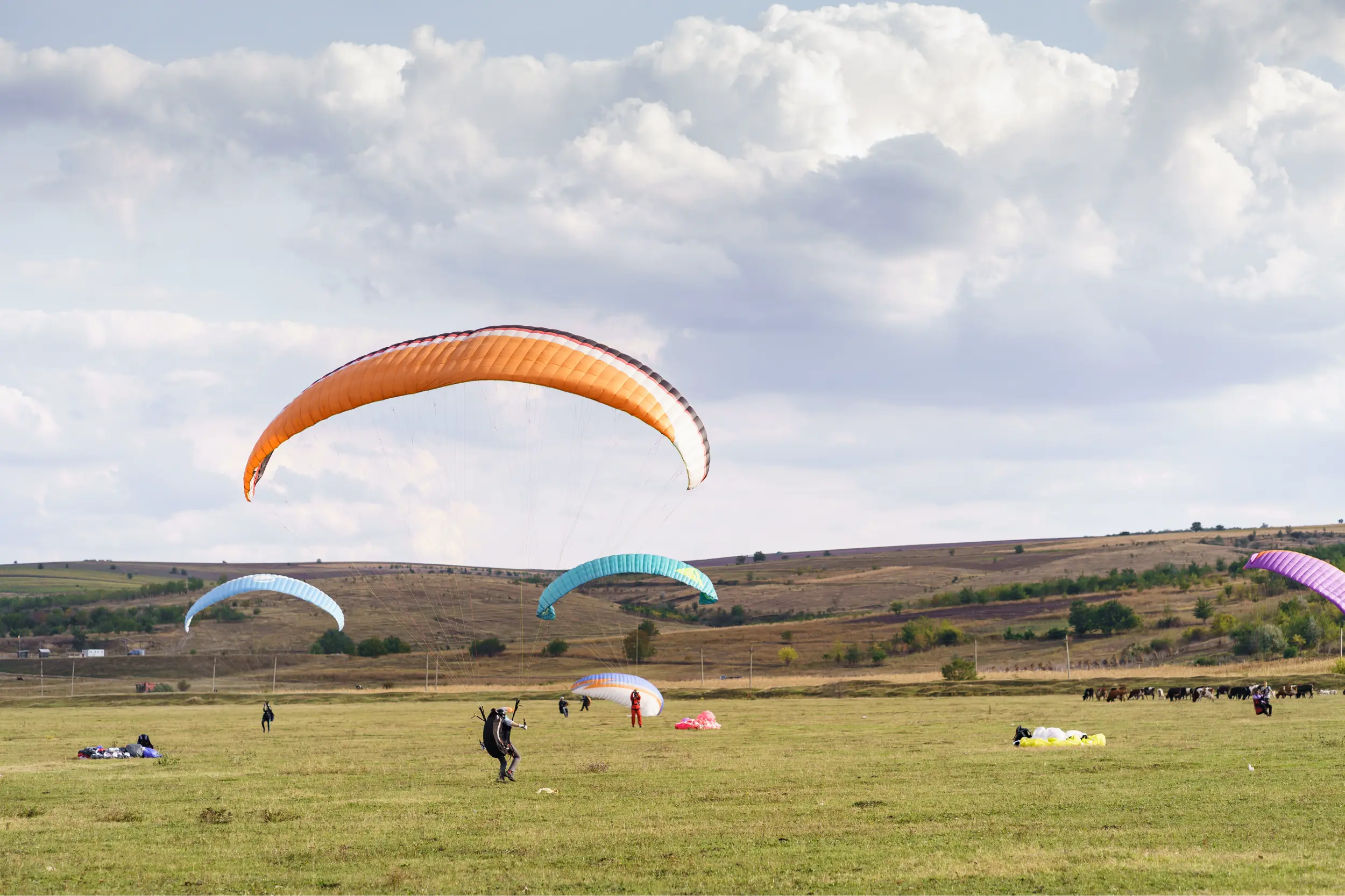 paragliders silhouette flying beautiful green landscape blue sky with clouds